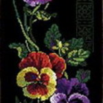 Pansy