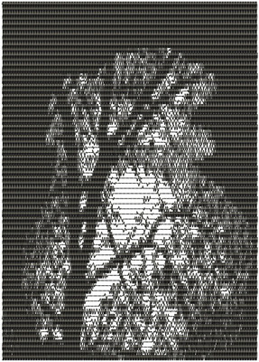 лунная_ночь1