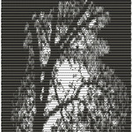 лунная_ночь1